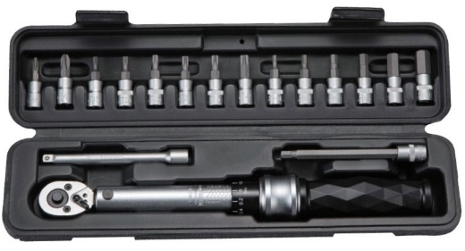 Professional Torque Wrench Set